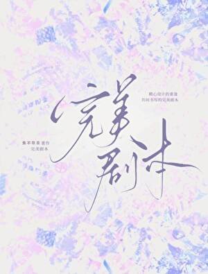 《完美剧本》
