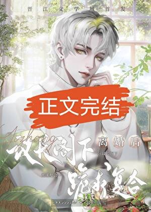 《和联邦议长结婚后》