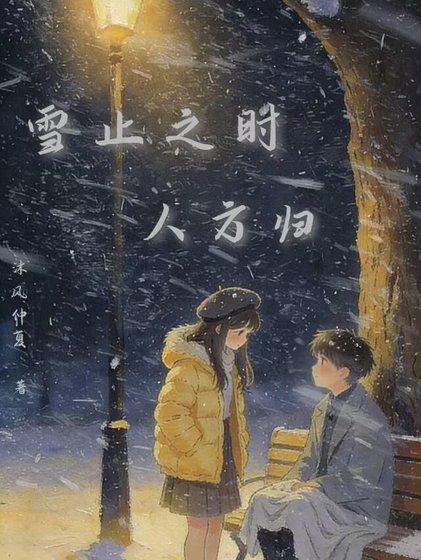 《雪止之时人方归》