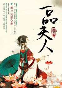 《(BG/红楼同人)红楼之一品夫人》