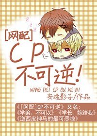 《『网配』CP不可逆》