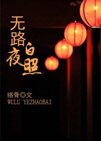《无路夜照白》