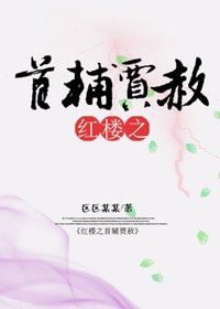 《(BL/红楼同人)红楼之首辅贾赦》