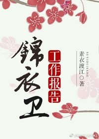 《锦衣卫工作报告》